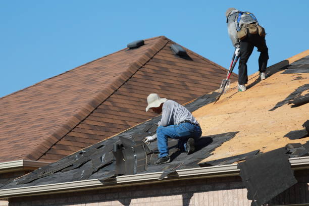 Best Metal Roofing Installation  in Williamson, WV