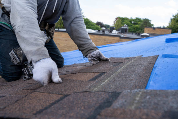 Best Chimney Flashing Repair  in Williamson, WV