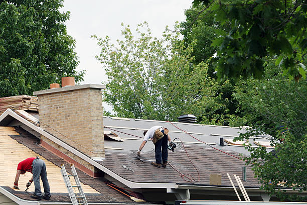Best Emergency Roof Repair Services  in Williamson, WV